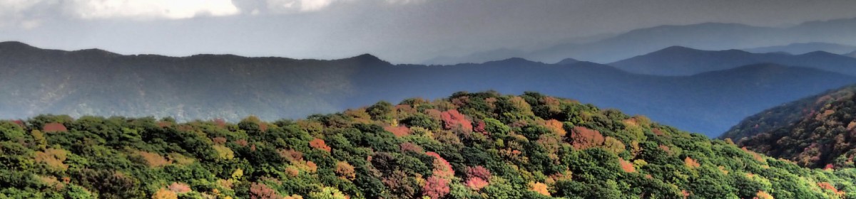 Constitution Cottage at Riceville Forest