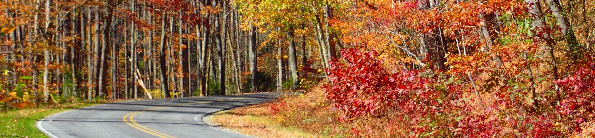 Constitution Cottage at Riceville Forest