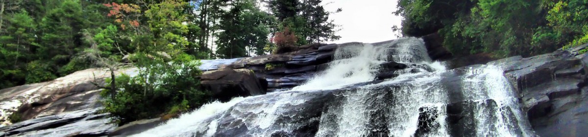 Constitution Cottage at Riceville Forest